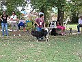 img 124